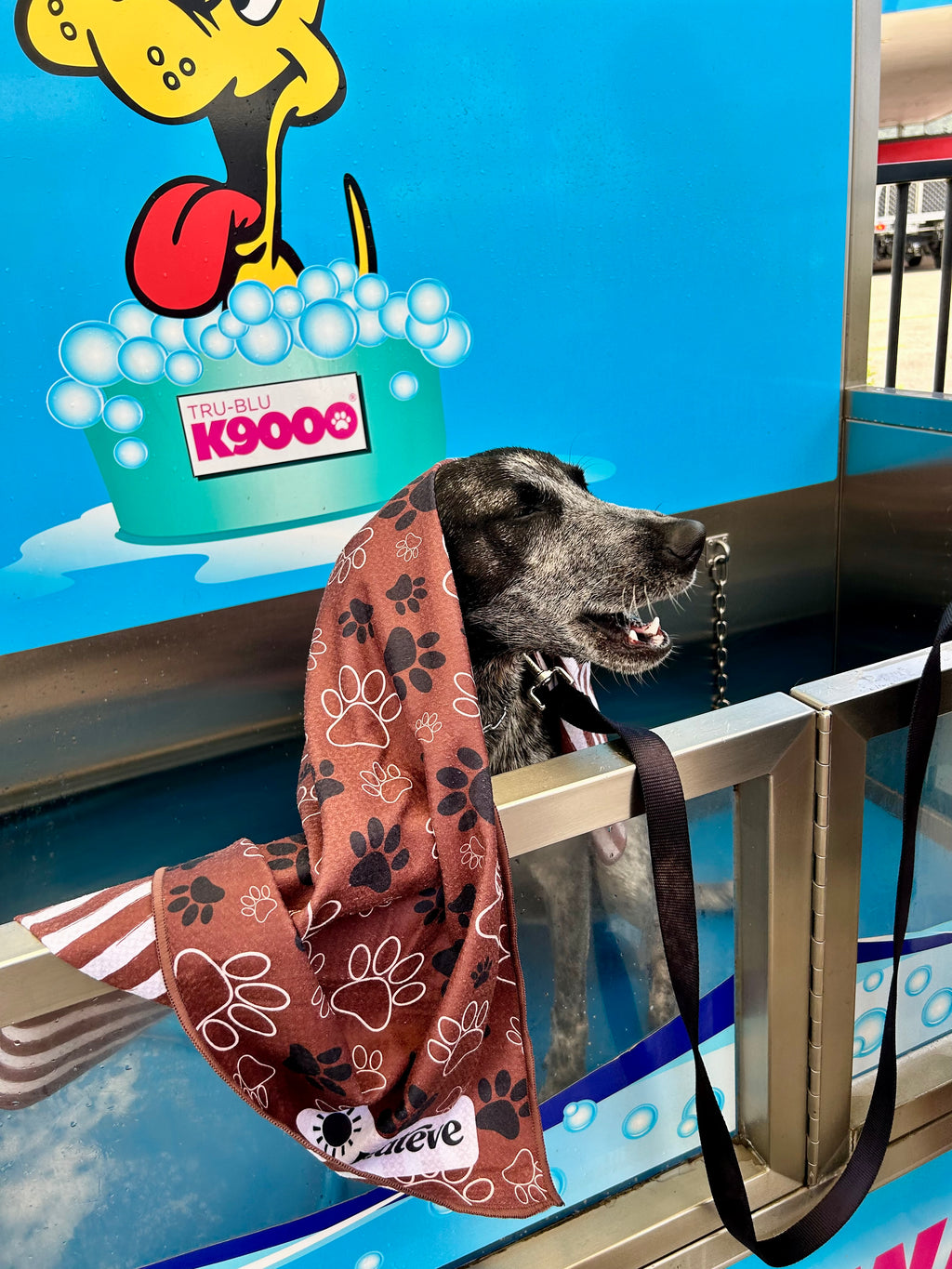 Dogs Day Out - Active Towel