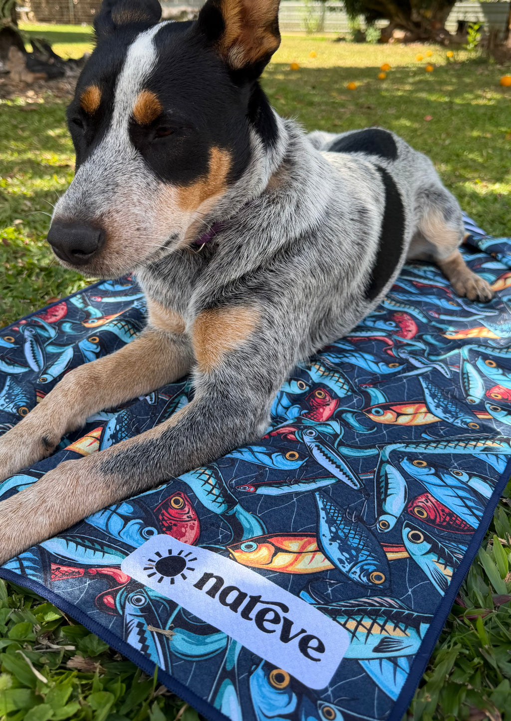 Pre-Order | Hooked - Active Towel